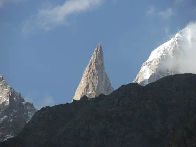 เลดี้ฟิงเกอร์ Lady_finger