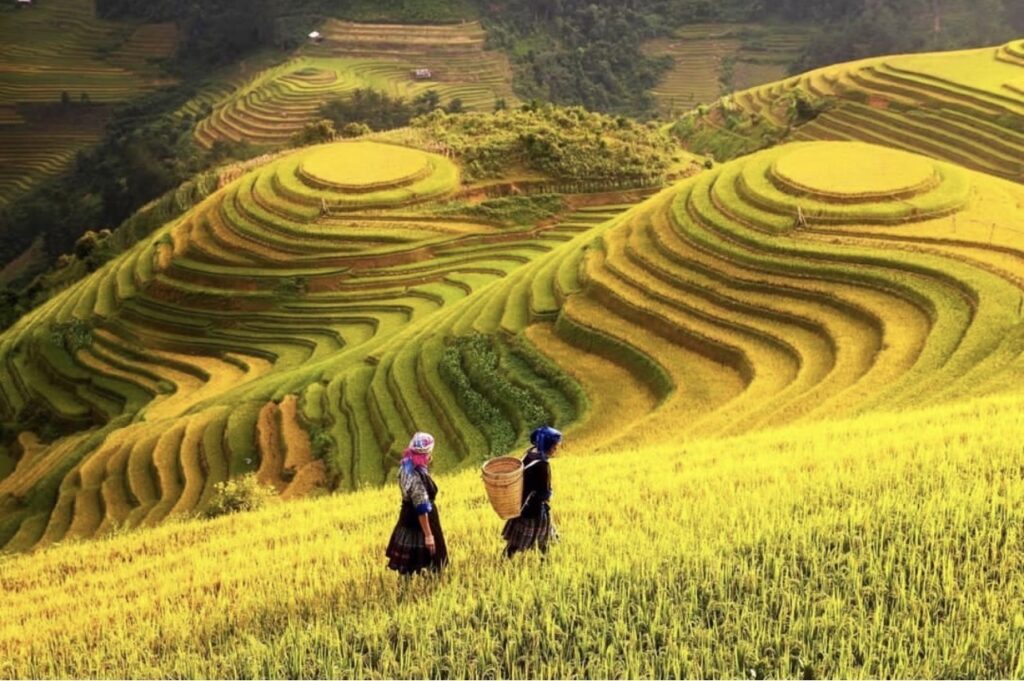 ทัวร์เวียดนาม