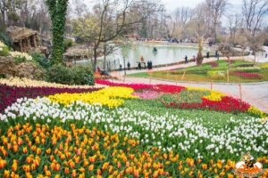 ทัวร์ตุรกี