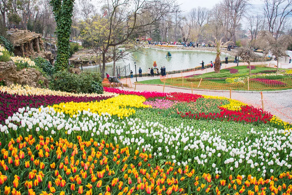 ทัวร์ตุรกี