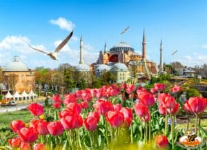 ทัวร์ตุรกี