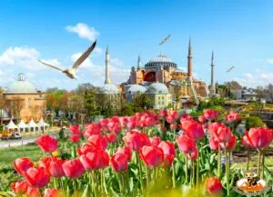 ทัวร์ตุรกี
